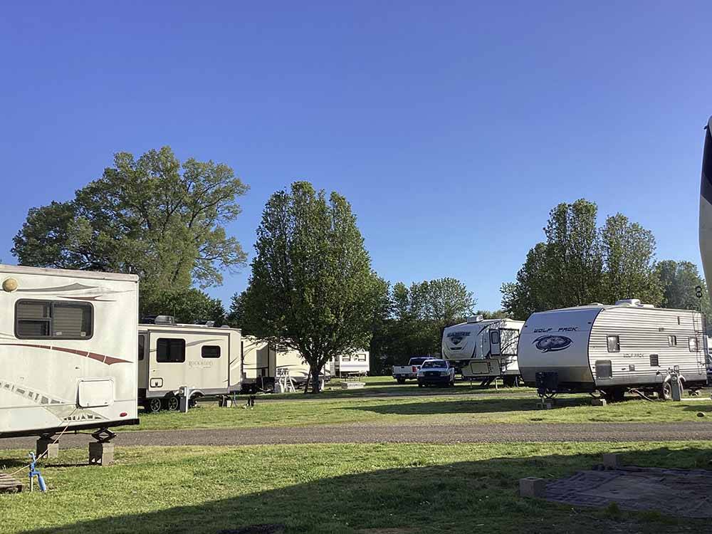 A group of grassy RV sites at MEMPHIS-SOUTH RV PARK & CAMPGROUND