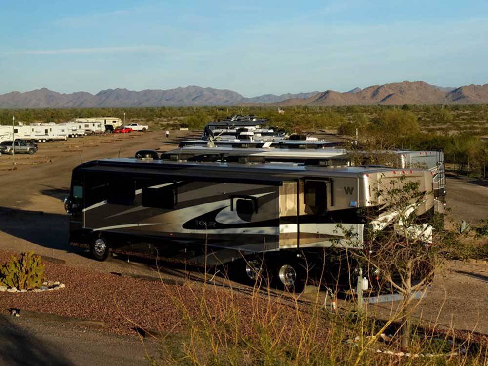 A row of motorhomes in sites at SONORAN DESERT RV PARK