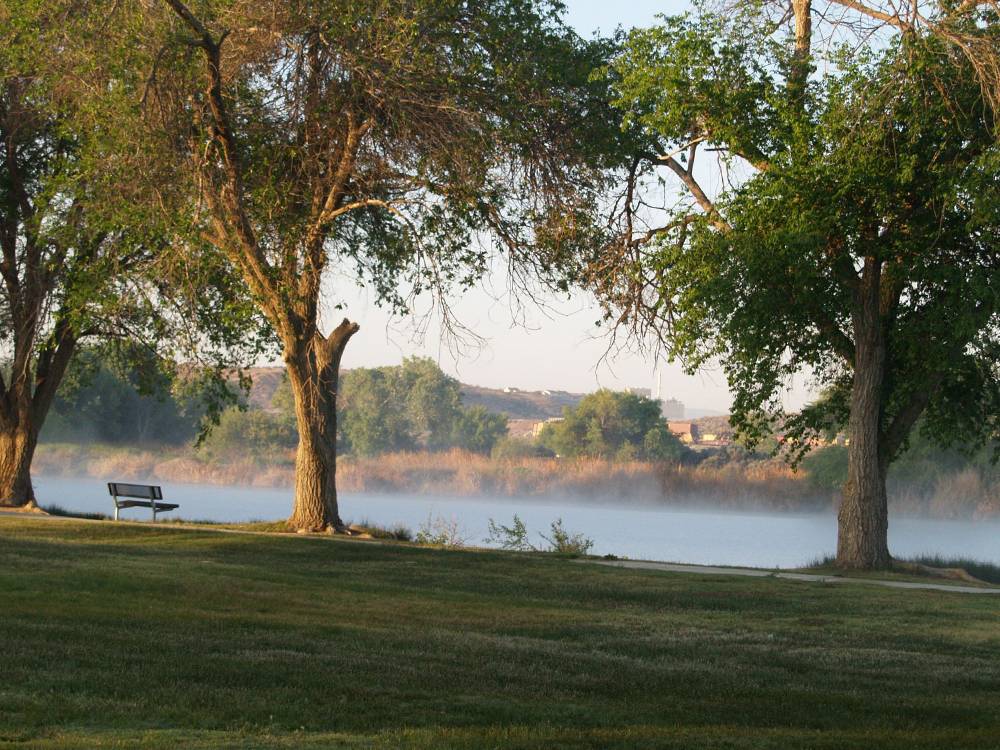 Lake view with bench