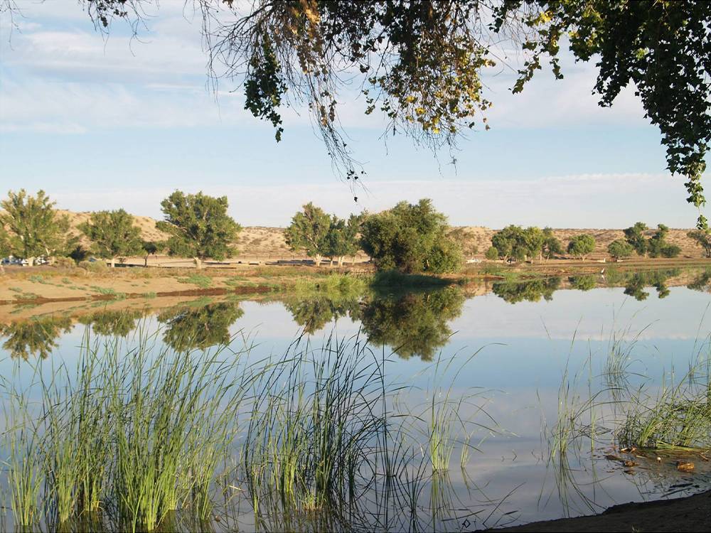 Lake view