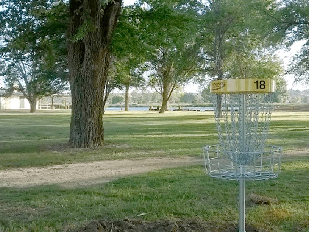 Disc golf goal in grass