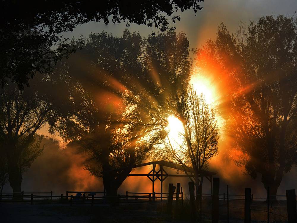 Sunset at park