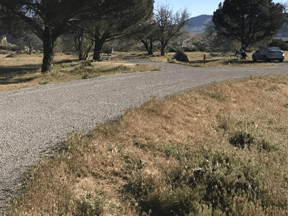 Gravel road, car and trees
