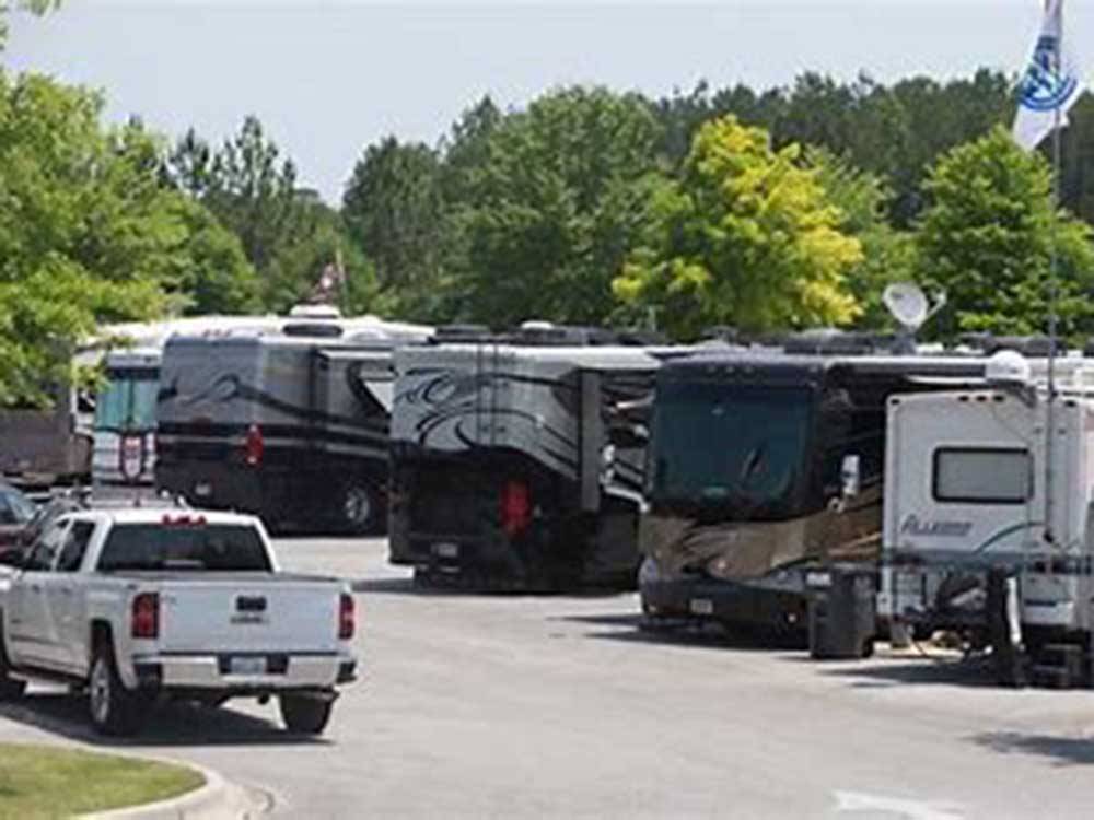 A row of motorhomes in paved sites at HOOVER RV PARK
