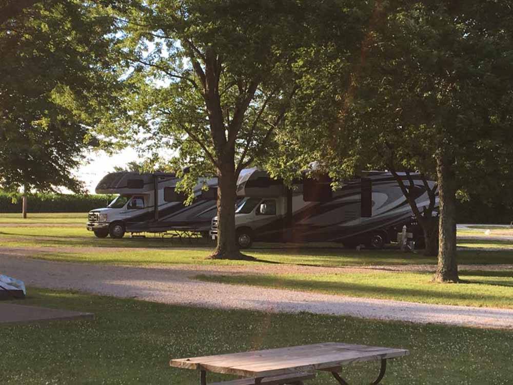 A row of Class C motorhomes at KAMP KOMFORT RV PARK & CAMPGROUND