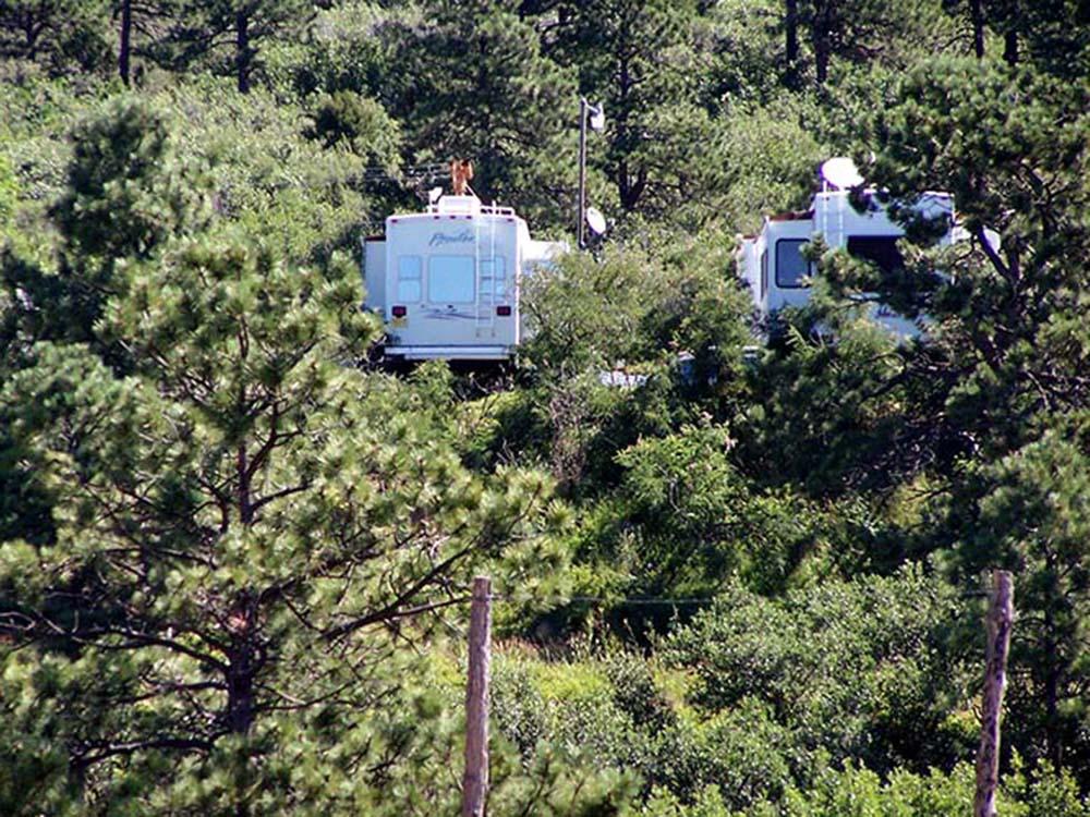 RV sites surrounded by trees at RATON PASS CAMP & CAFE