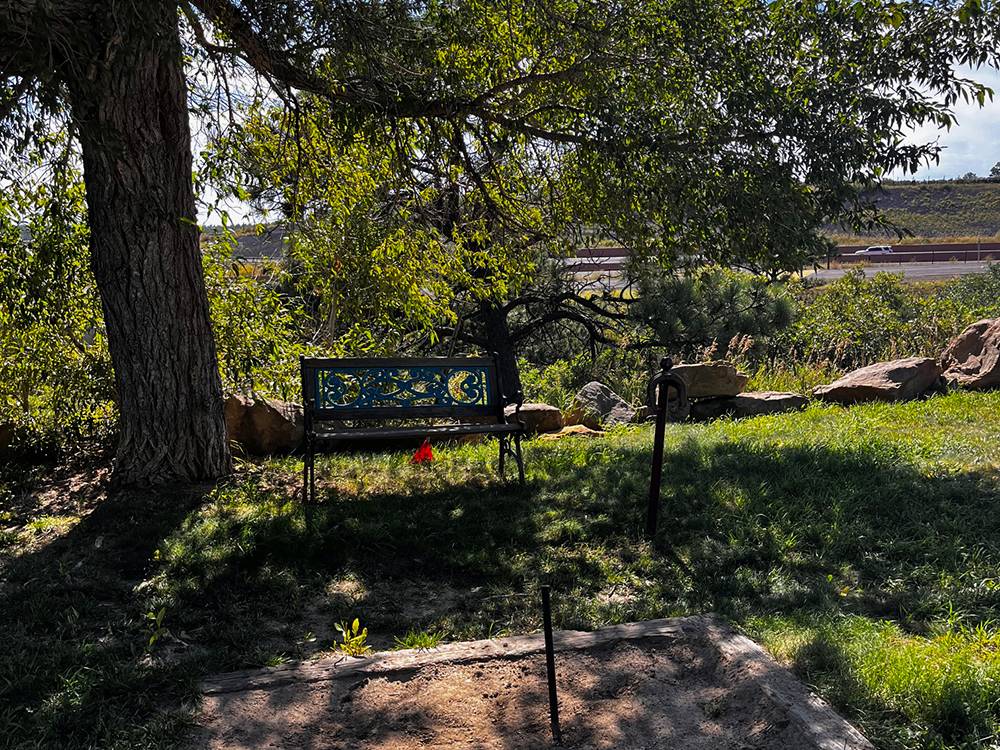 Shaded horseshoe pit