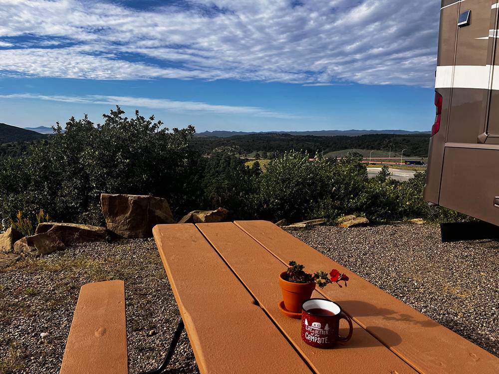 A picnic table with flowers and a coffee mug