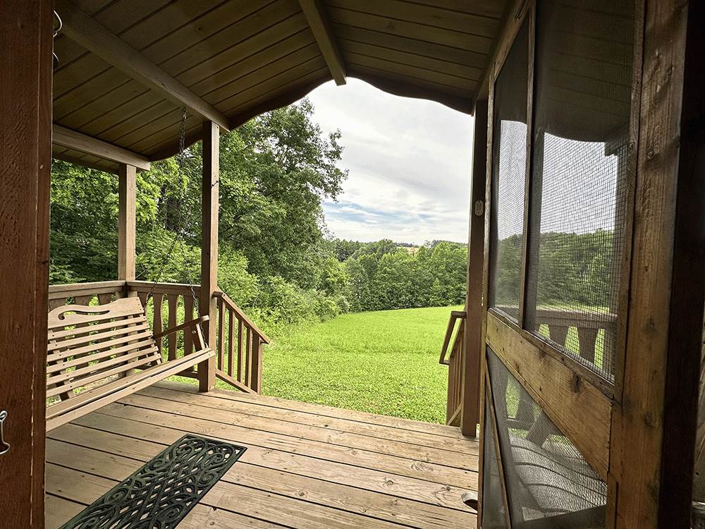 A view of grass and trees from a cabin