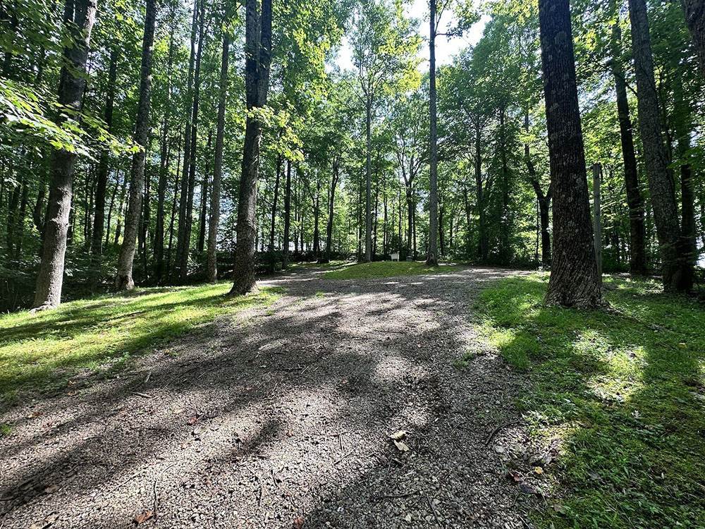 A gravel road leading to sites