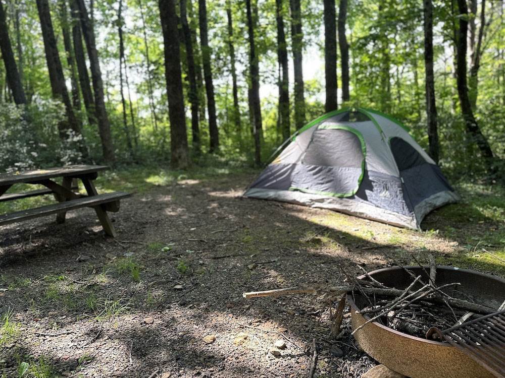 A tent in a wooded site