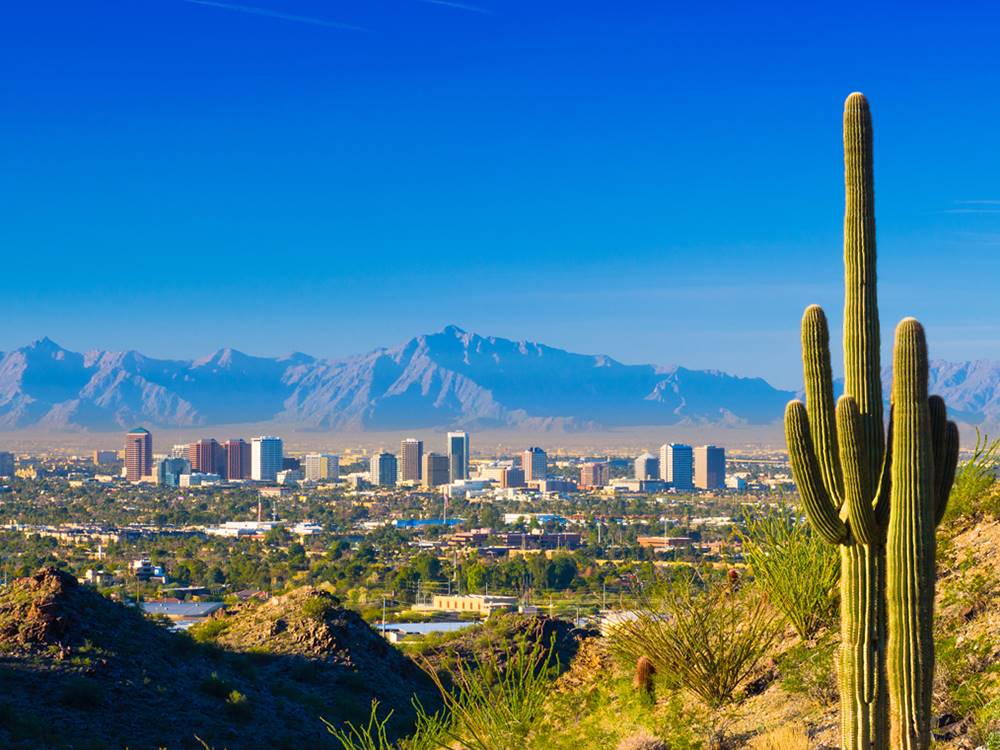 View of the area with cactus at Desert's Edge RV Park