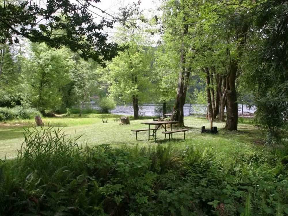 A picnic table in a grassy area at LOON LAKE LODGE & RV RESORT