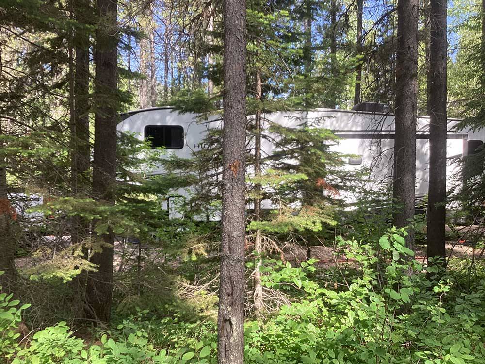 Fifth wheel obscured by trees at GLACIER MEADOW RV PARK
