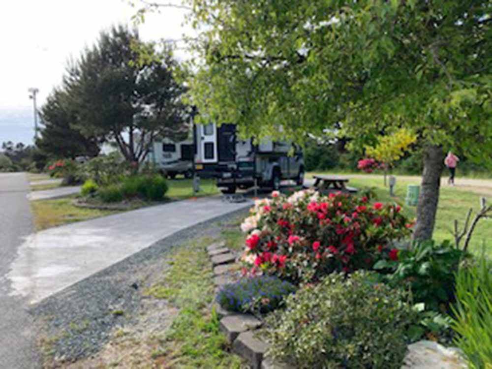 A line of paved RV sites at BANDON BY THE SEA RV PARK