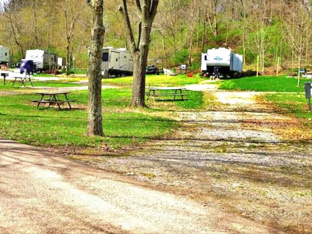 Open RV space at Yogi Bear's Jellystone Park Clay's Resort