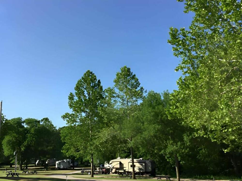 Travel trailers parked at sites among trees at Pony Express RV Park & Campground