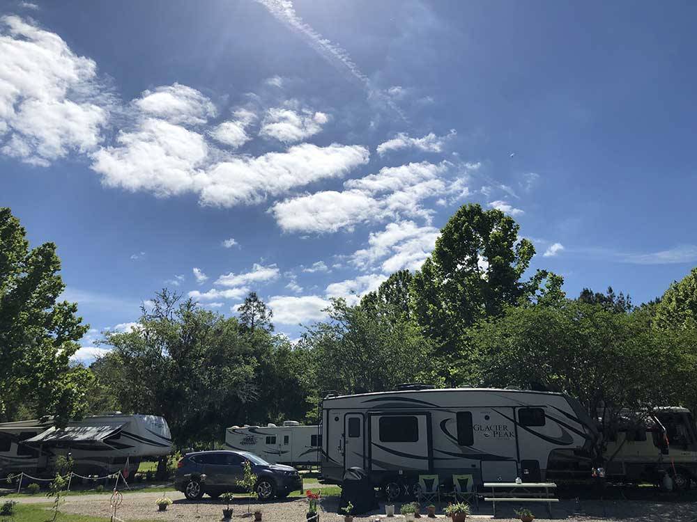 Gravel RV sites with trees at WILD FRONTIER RV RESORT