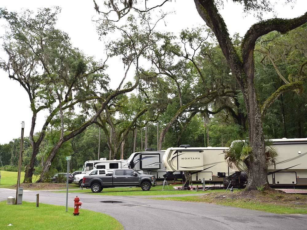 A row of RV sites on a paved road at WILD FRONTIER RV RESORT