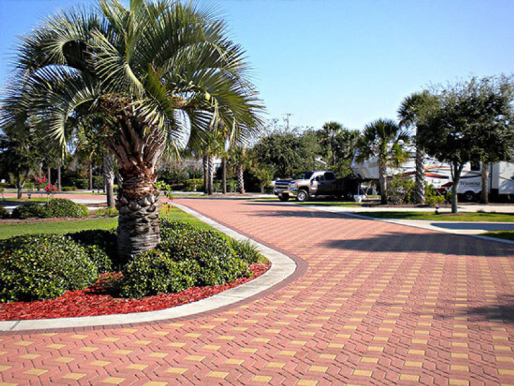 Sites with palm trees at Panama City Beach RV Resort