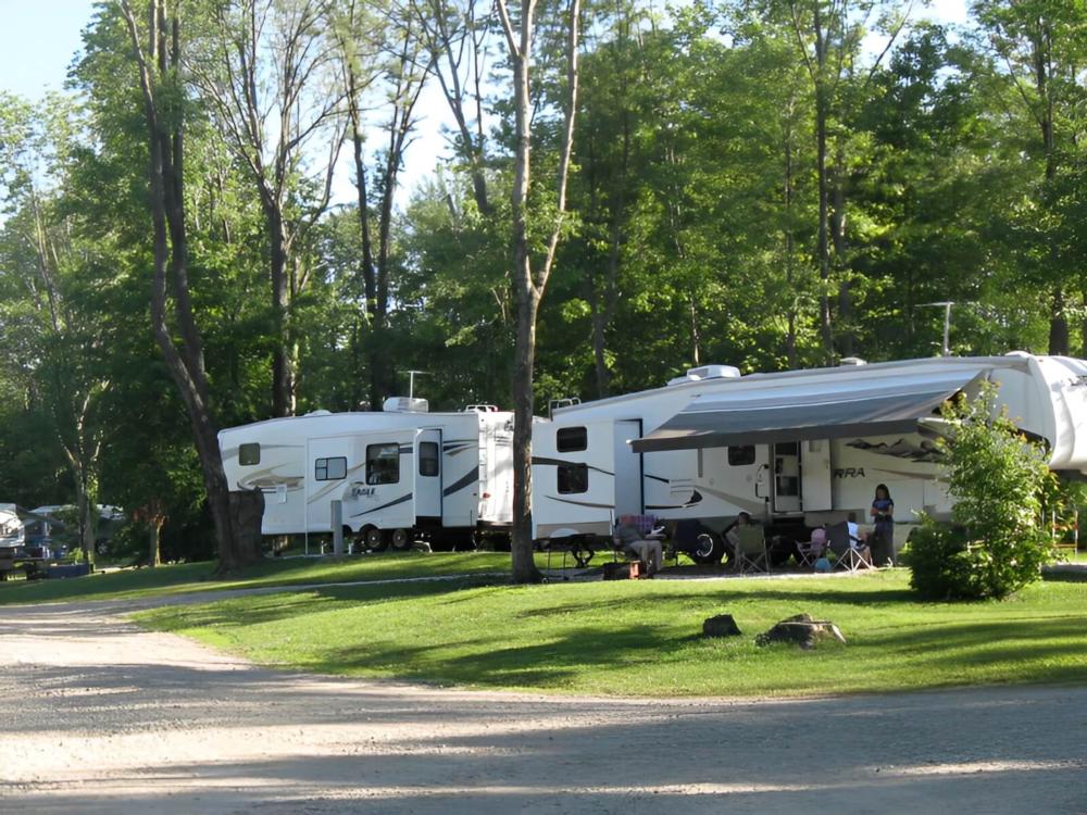 RVs in treed sites