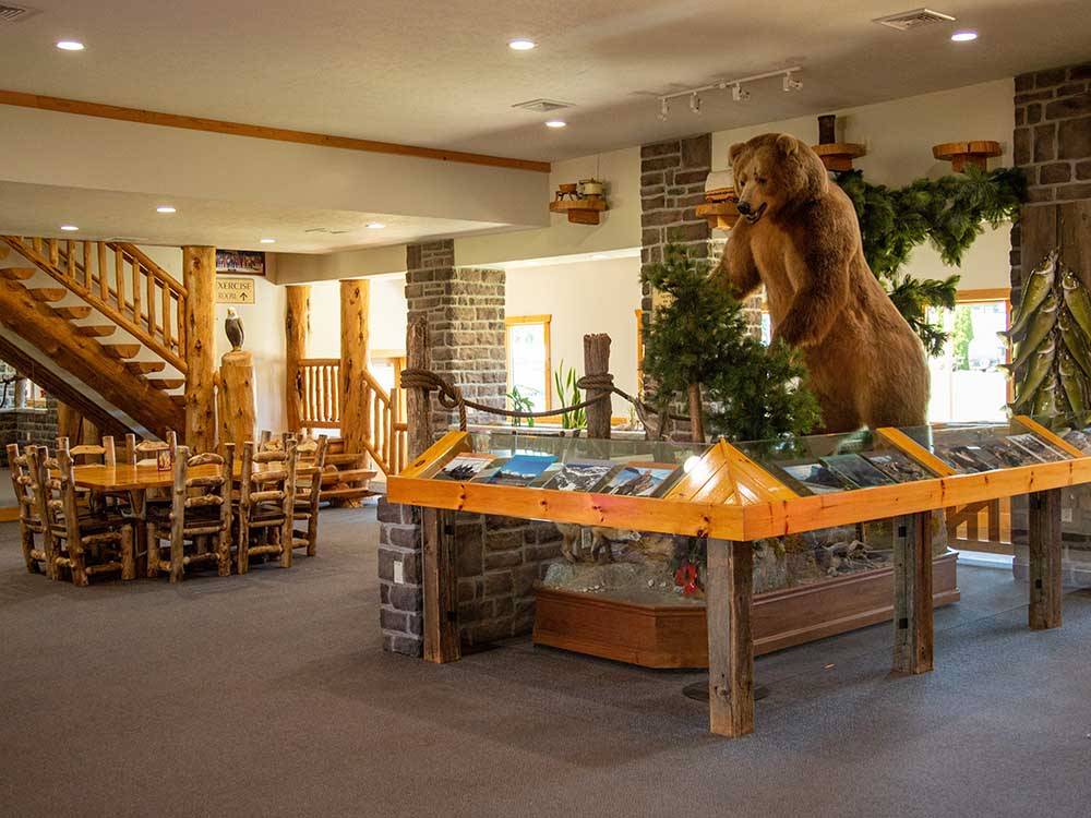 A taxidermy bear in the lobby at EVERGREEN PARK RV RESORT