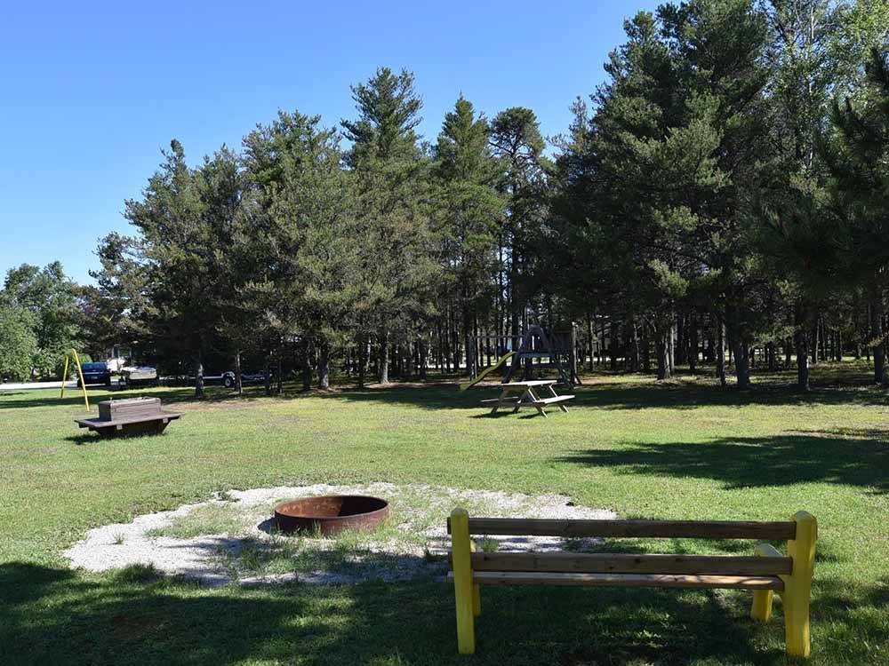 Fire pit with benches and picnic tables at DAVY LAKE CAMPGROUND