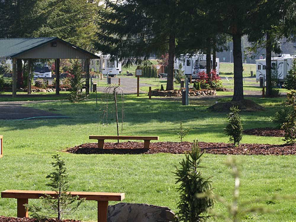A view of a row of grassy RV sites at TOUTLE RIVER RV RESORT
