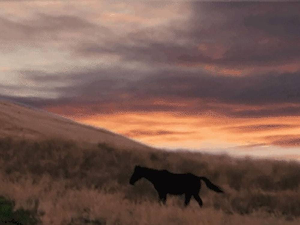 Orange sunset over the hills at Klamath Ranch Resort / Blue Heron RV Park