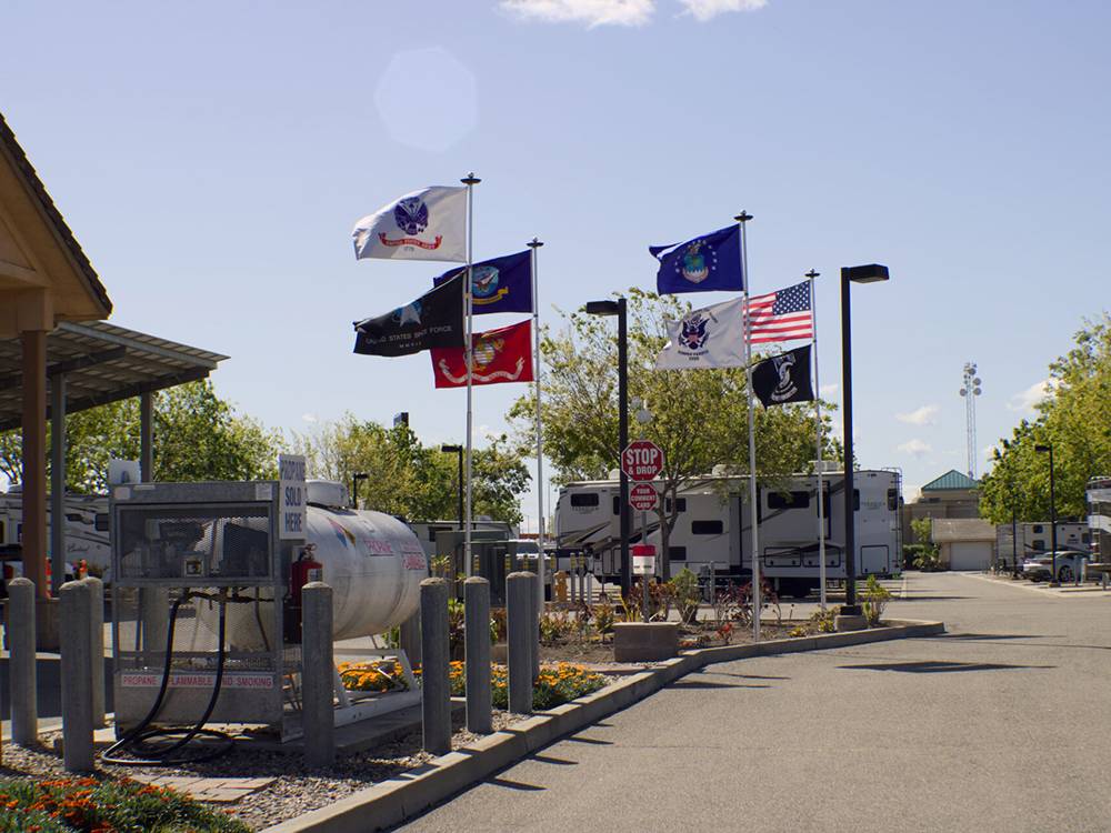 Flags Flying at park