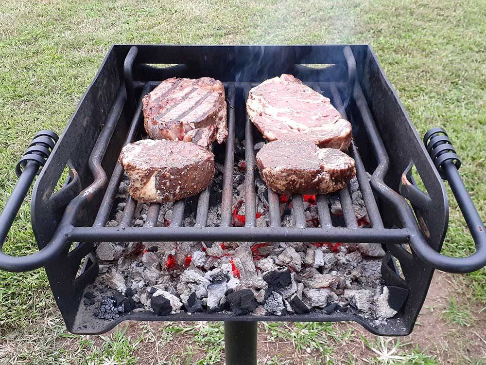 Four steaks cooking on a grill at DAN RIVER CAMPGROUND