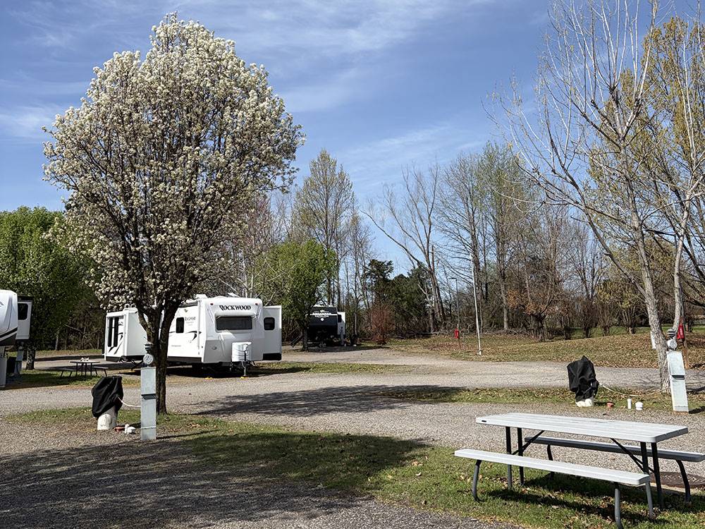A tree and table at a gravel site