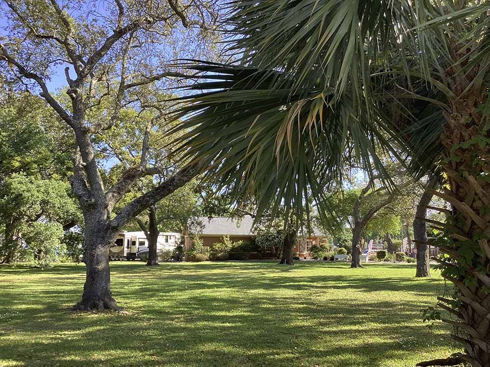 A large grassy area at MAJESTIC OAKS RV RESORT
