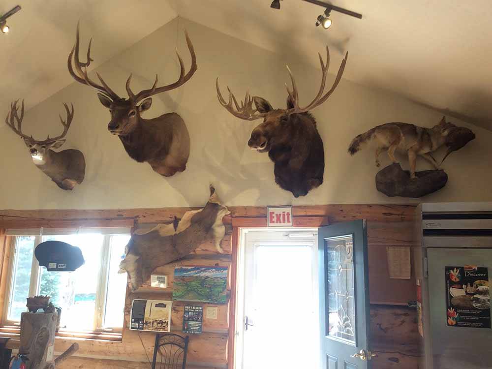 The mounted animal heads above the front door at TWIN PINES RV PARK & CAMPGROUND