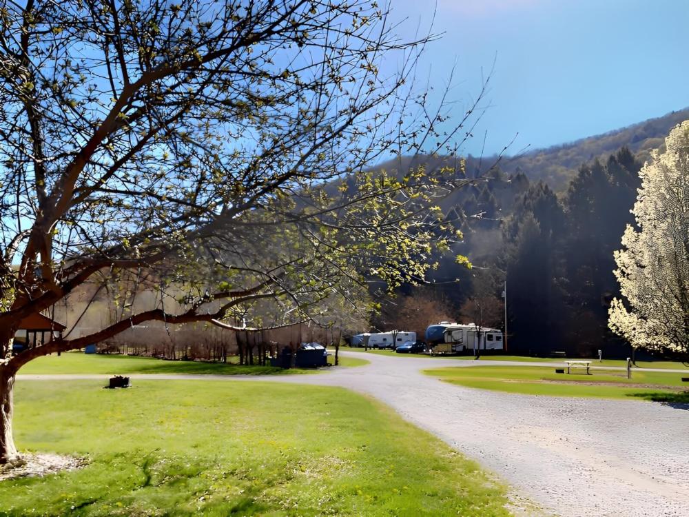 Parked RV's at site Austin Campground At Nelson Run