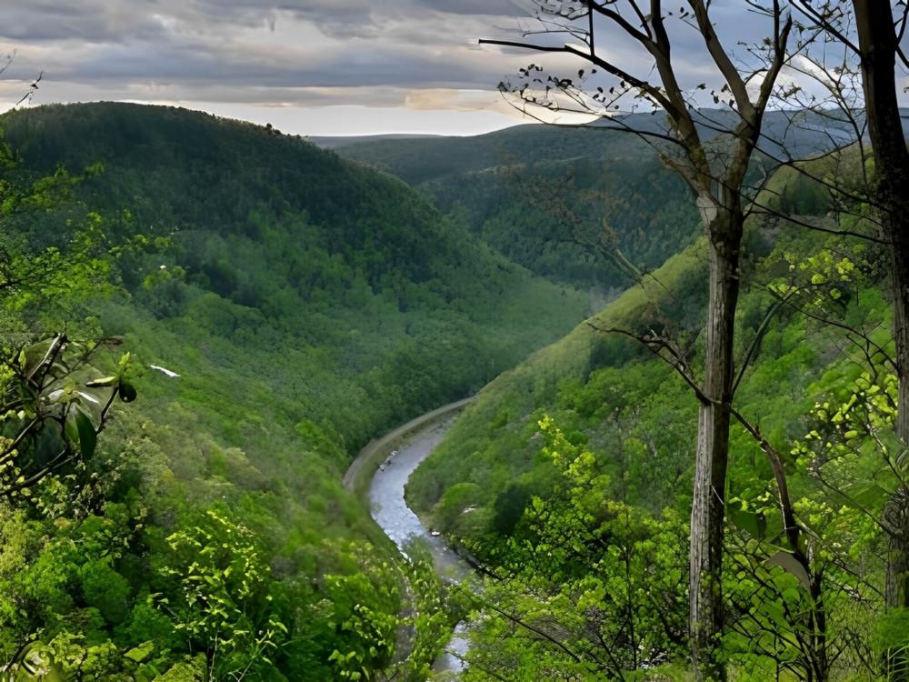 Mountain views at site Austin Campground At Nelson Run
