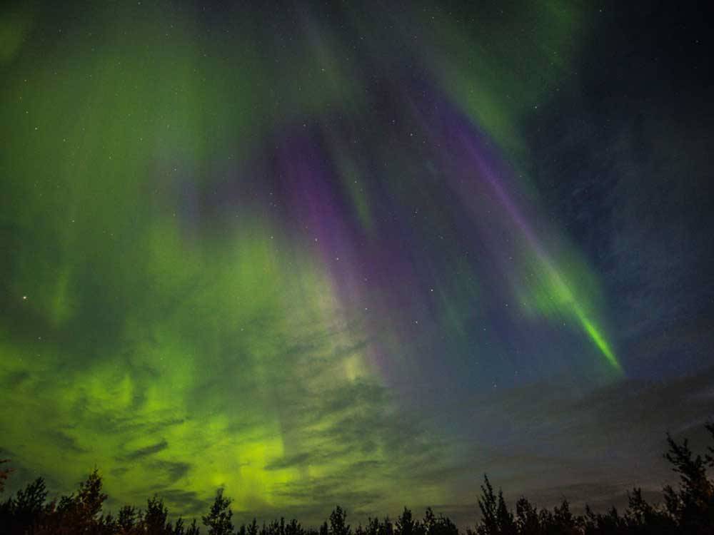 The northern lights glimmer in the night sky at GRANDE PRAIRIE REGIONAL TOURISM ASSOCIATION