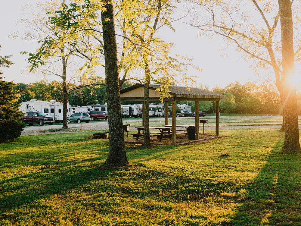 Sunlight shining through the trees at SILVER SPRINGS RV PARK