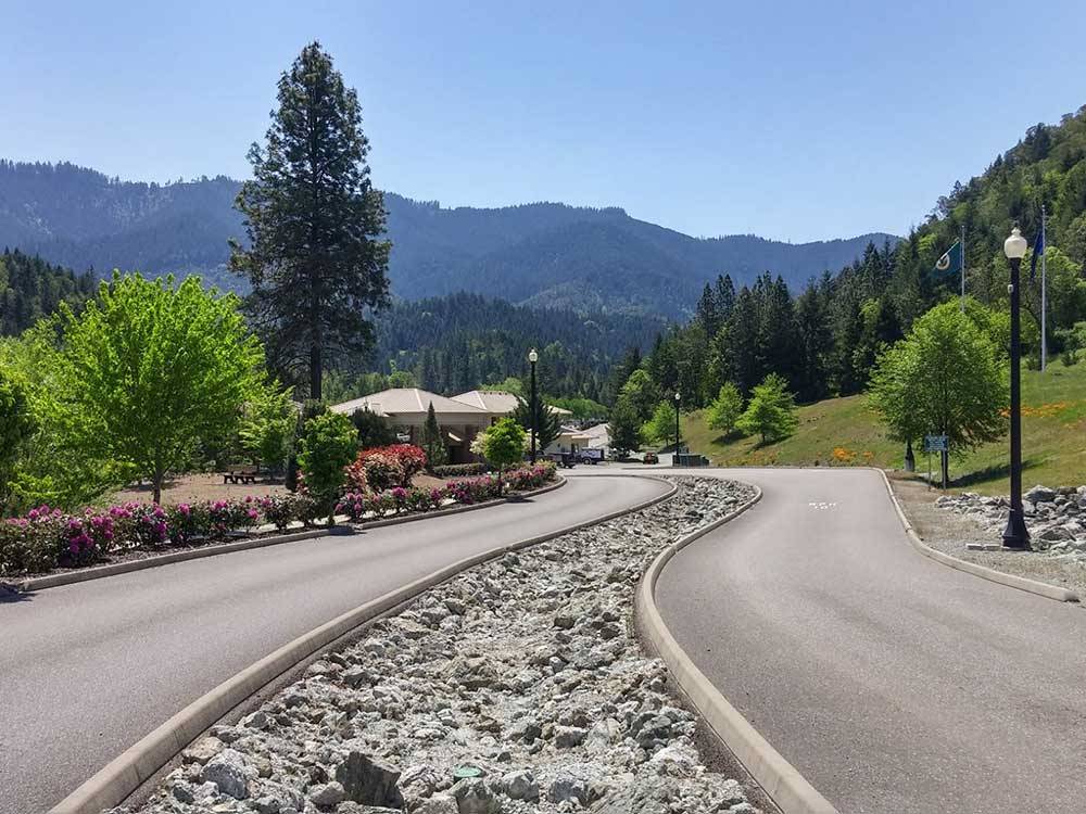 Entry road with large trees on both sides and mountains in background at SEVEN FEATHERS RV RESORT