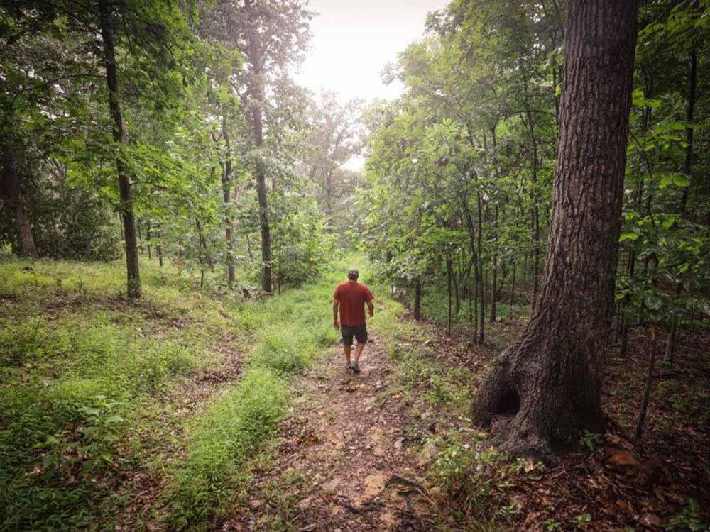 A man walking the trail in the forest at ENDLESS CAVERNS