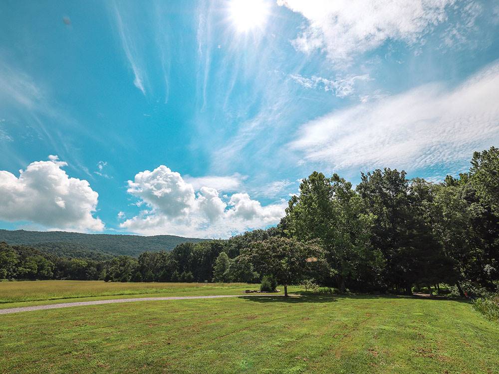 Meadow in the trees at ENDLESS CAVERNS