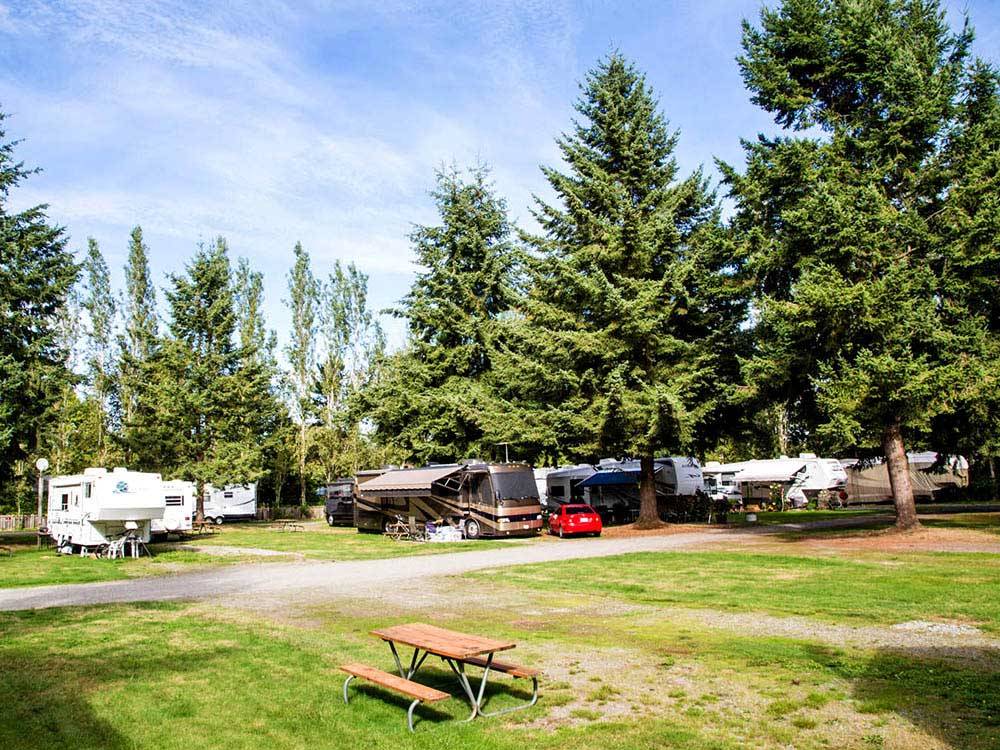 RVs and trailers at campground at THOUSAND TRAILS BIRCH BAY