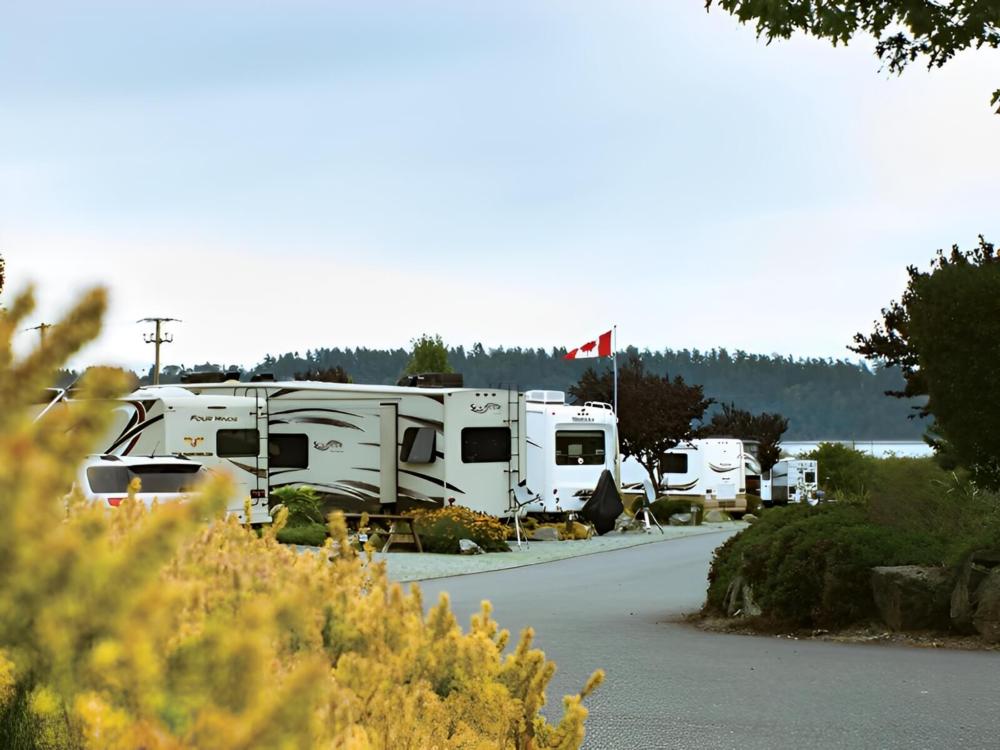 Views parked in sites