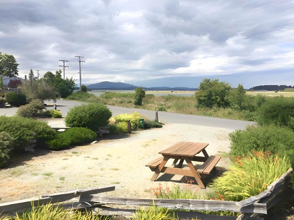 RV site with landscaping and a table