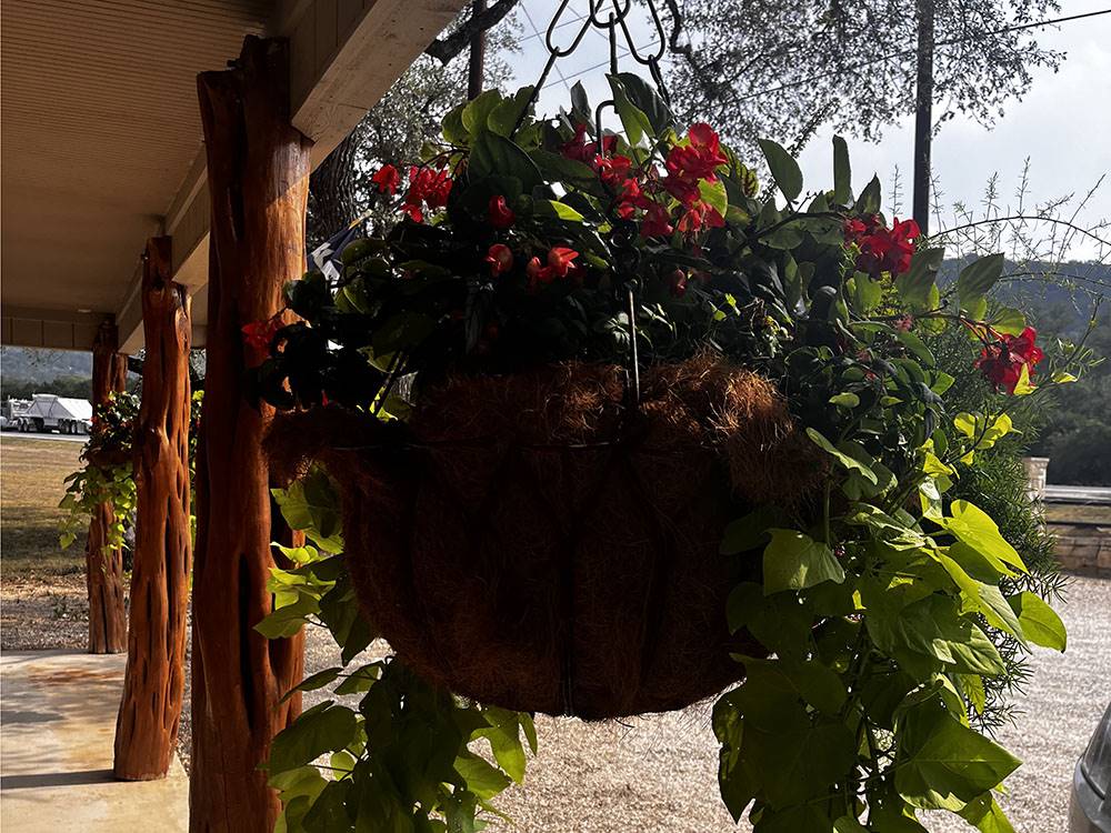 Hanging planter at STARS OVER TEXAS RV PARK - FRIO