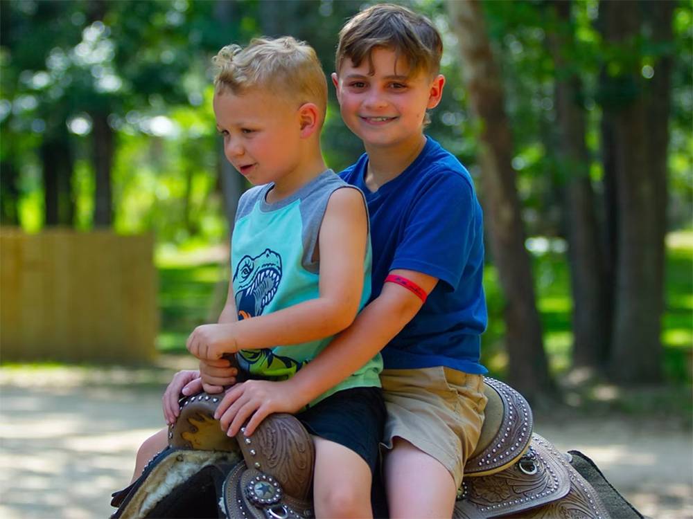 Two boys on a horse