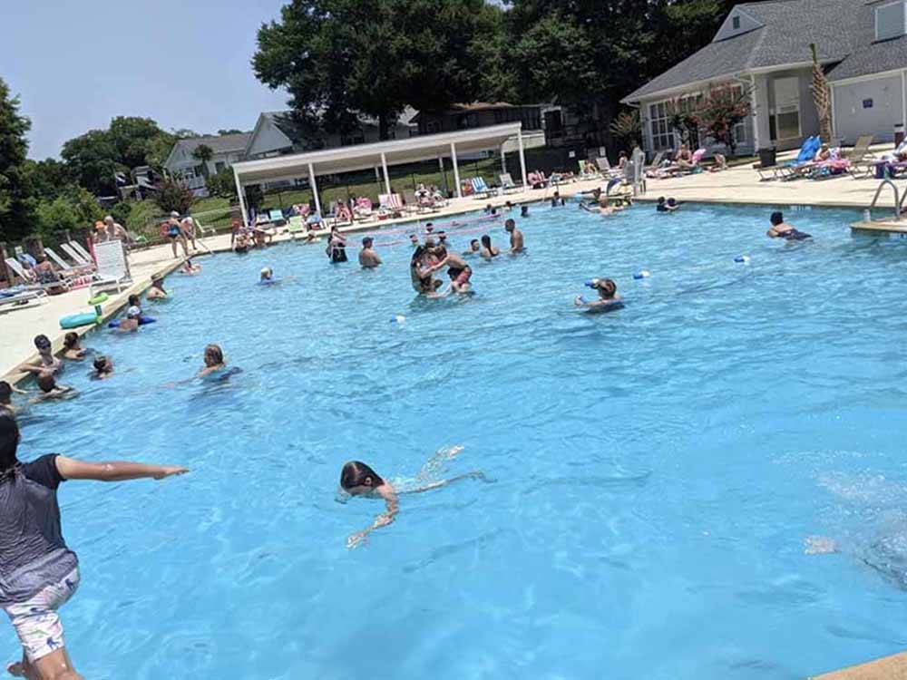 People playing in the swimming pool at BRIARCLIFFE RV RESORT