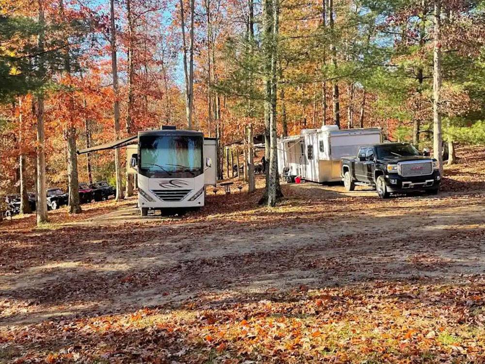 RV's at site among fall leaves