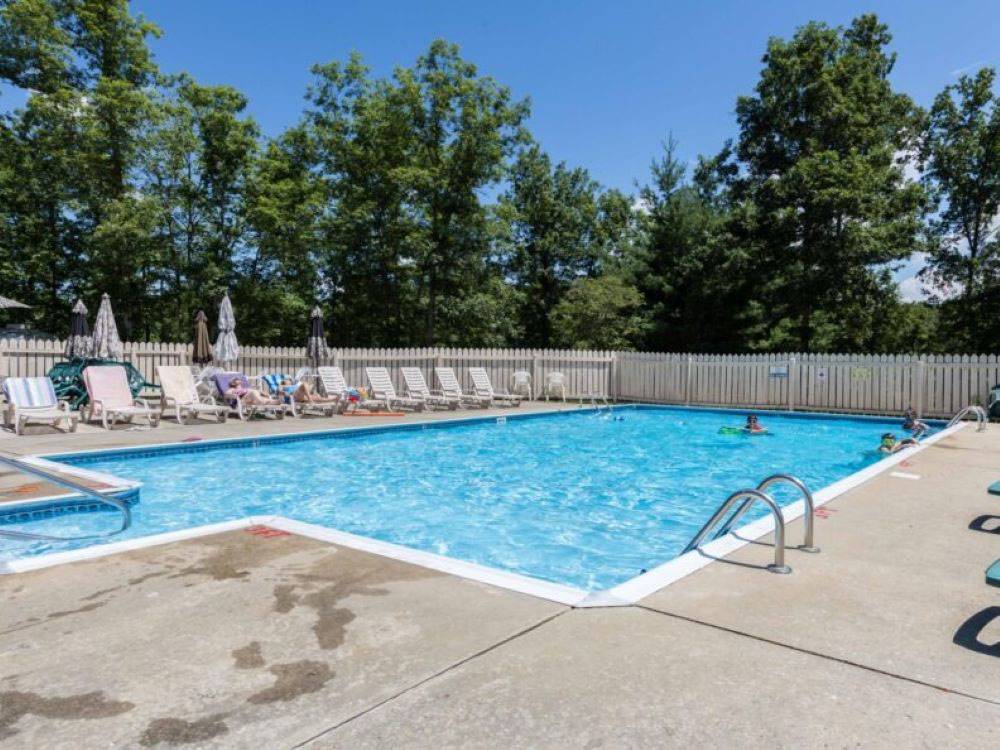 Lounge chairs around the swimming pool