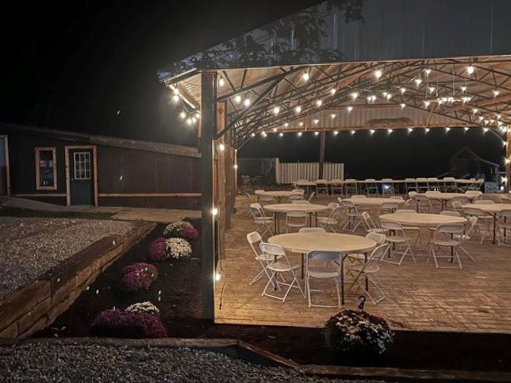 The pavilion at night with hanging patio lights